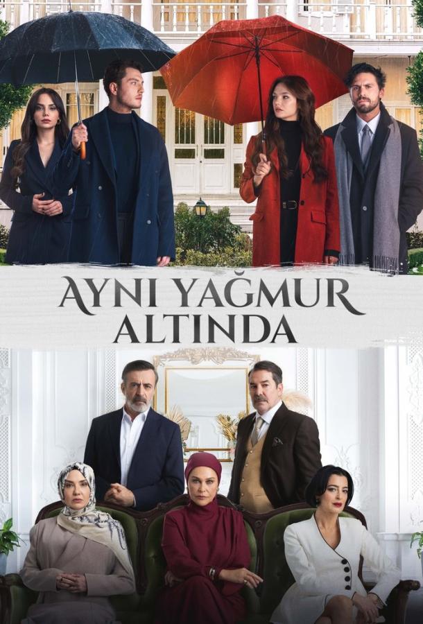 Под одним дождём